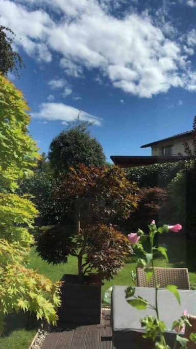 "Ferienhaus Am Mondsee" Mit Direktem Schafbergblick Im Salzkammergut Bei Salzburg Eksteriør bilde